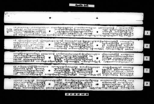 Visutthimakkha mat ton (ວິສຸທທິມັຄຄະ ມັດຕົ້ນ)