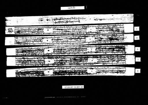 Phuen viang chan (ພື້ນວຽງຈັນ)