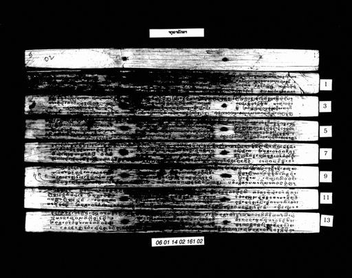 Catula (ຈະຕຸຣາ)