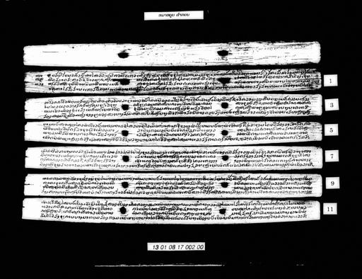 Ma nyui (ໝາຫຍຸຍ)