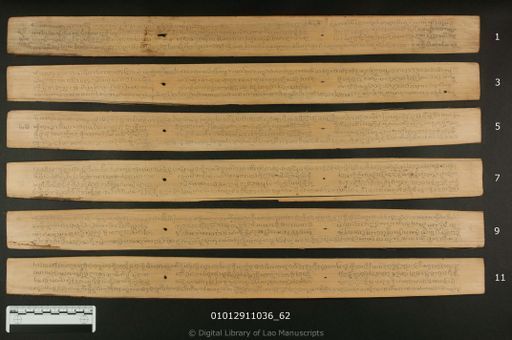 Malai phot sat (ມະໄລໂຜດສັດ)