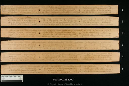 Visutthimak mat ton (ວິສຸທທິມັຄ ມັດຕົ້ນ)