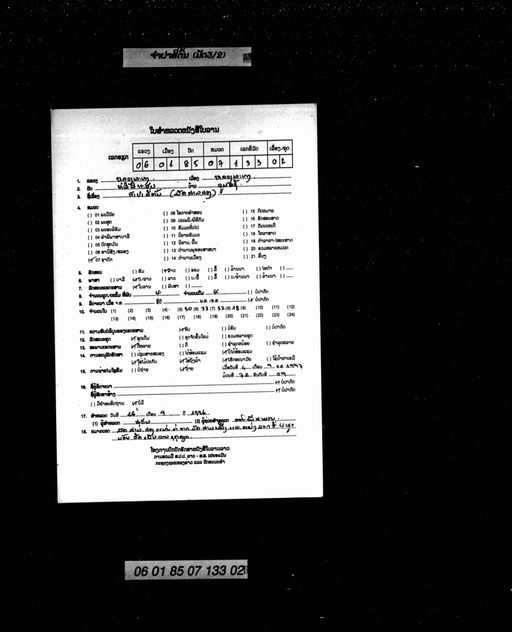 Campa si ton mat sam (ຈຳປາສີ່ຕົ້ນ ມັດສາມ)