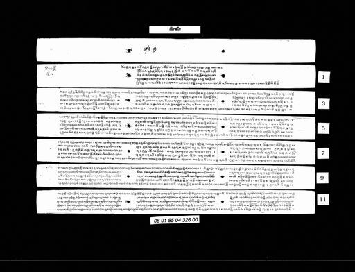 Tika luek (ຕີກາຣຶກ)