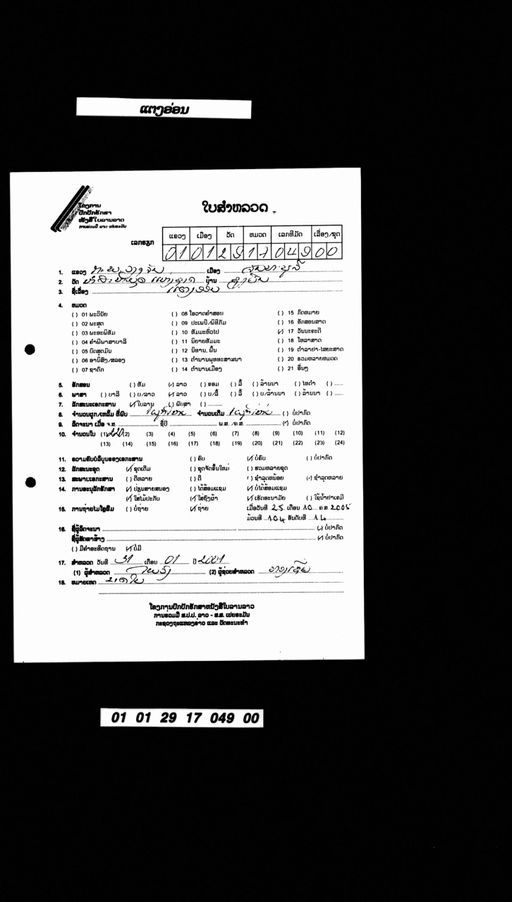 Untitled (Taeng on) (ບໍ່ປາກົດຊື່ເລື່ອງ (ແຕງອ່ອນ))