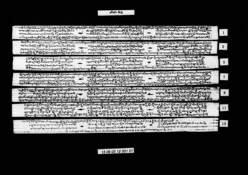 Lam tao kham (ລຳເຕົ່າຄຳ)