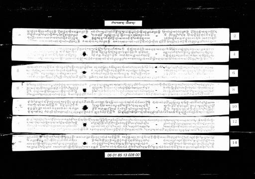 Phuen that (ພື້ນທາຕຸ)