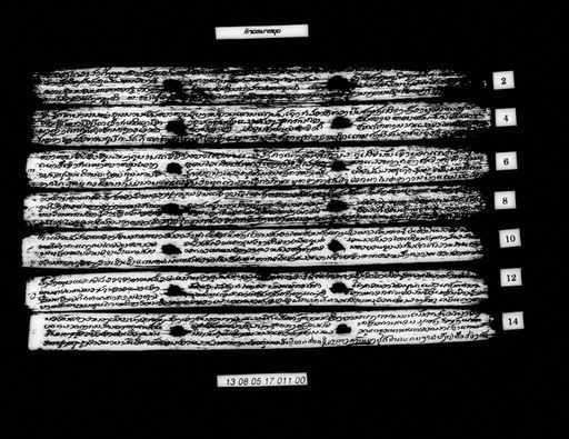 Untitled (Thao ma nyui) (ບໍ່ປາກົດຊື່ເລື່ອງ (ທ້າວໝາຫຍຸຍ))