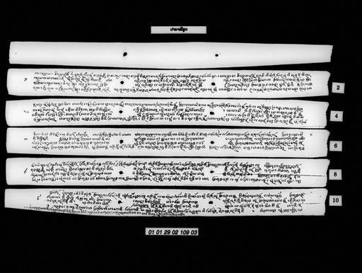 Phanya panyasi (ພະຍາປາຍາສີ)