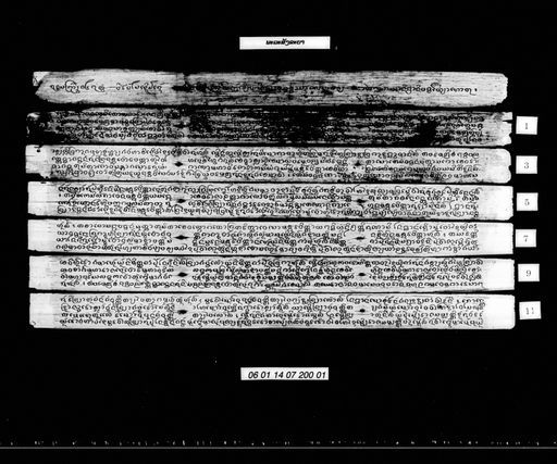 Phalasangkhanya (ພະລະສັງຂະຫຍາ)