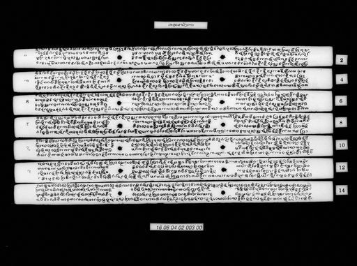 Mathulatsa somphu / mathulatsa langka (ມະທຸຣັສສະຊົມພູ / ມະທຸຣັສສະລັງກາ)