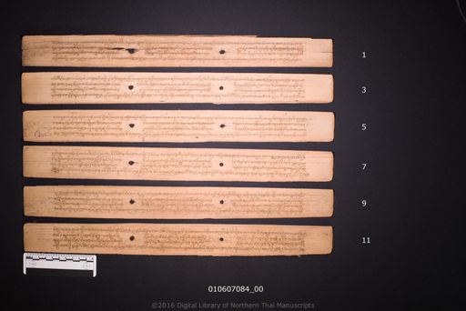 Palasangkhanya (พละสังขยา)