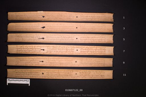 Ninyai lai ngu (นิยายลายงู)