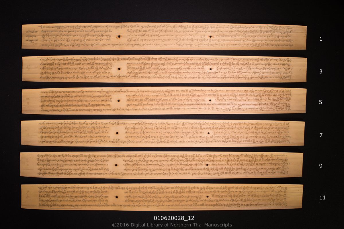 a page of Tamnan phanya thammikalat, a palm-leaf Poetry & Literature (วรรณกรรม) manuscript in Tham Lanna script, held at Wat Pa Sak Noi, Chiang Mai; dated 1315 (Cunlasakkalat (CS))