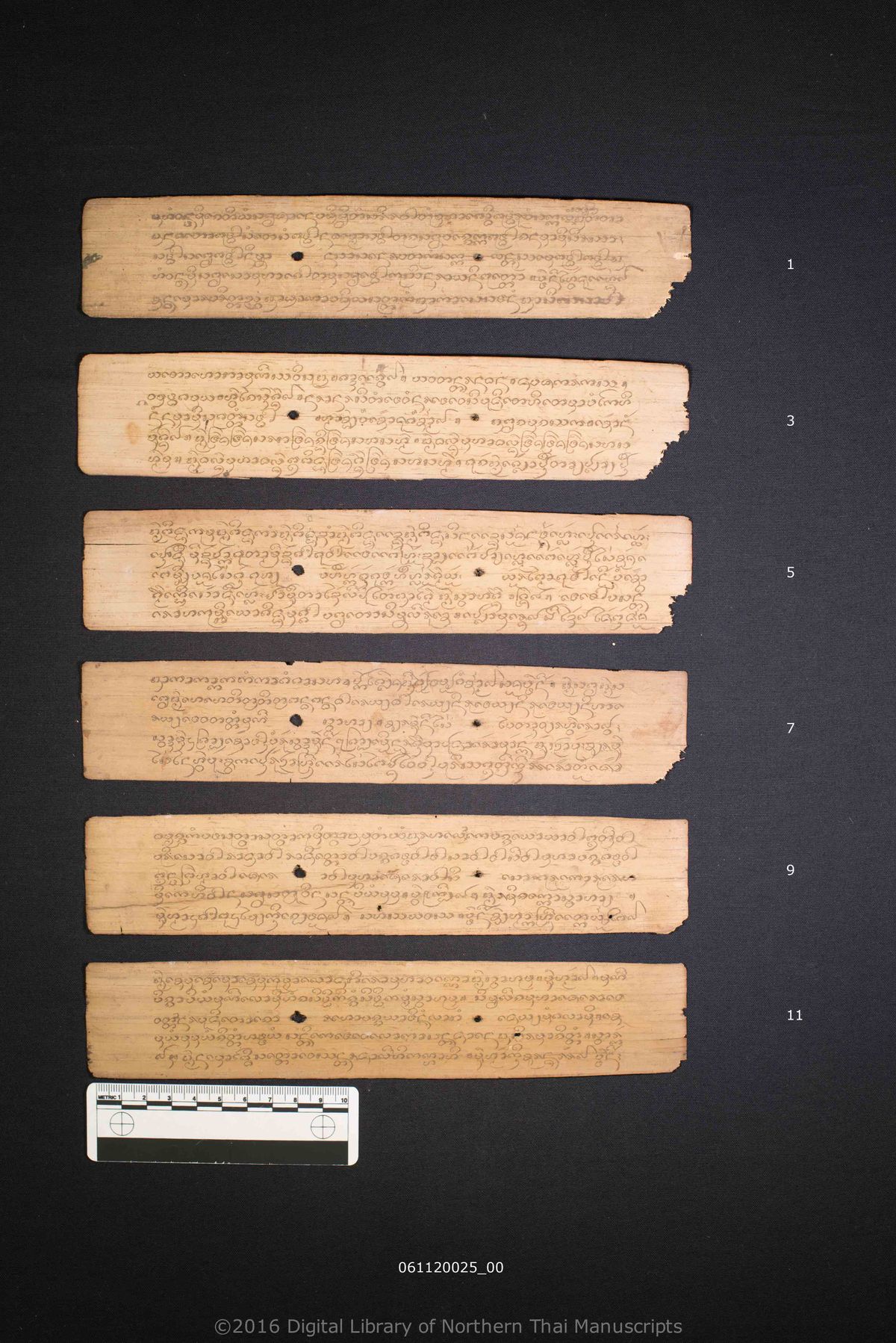 a page of Untitled, a palm-leaf manuscript in Tham Lanna script, held at Wat Phra Koet, Nan