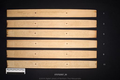 Wohan thammapata mat ton (โวหารธัมมปาทะ มัดต้น)