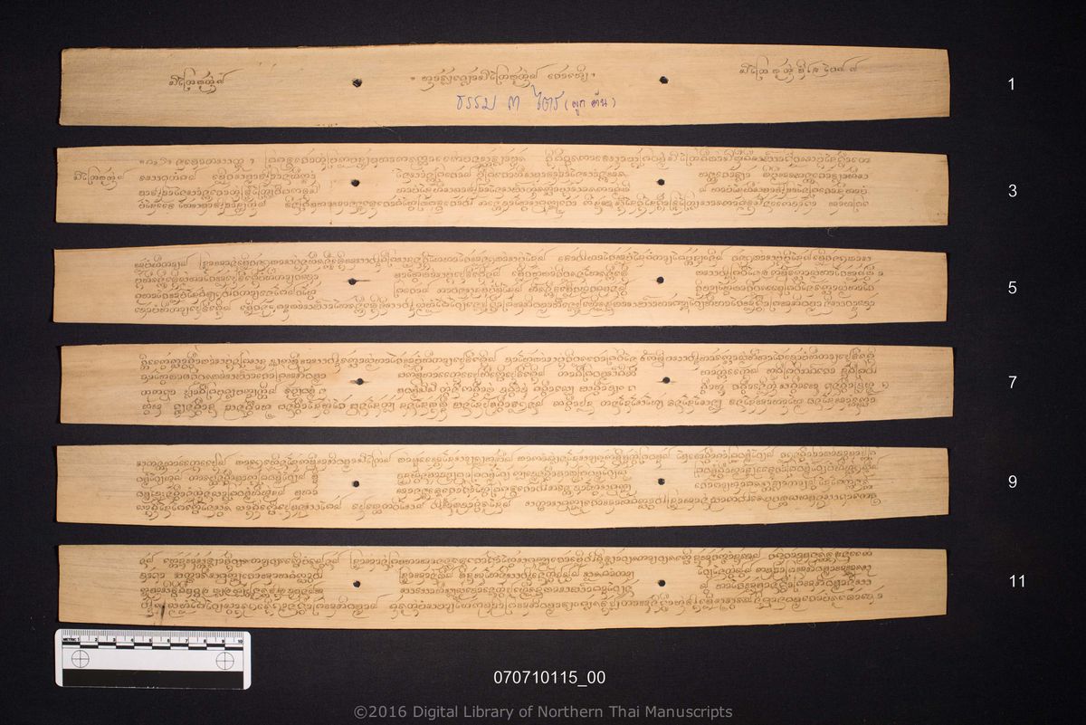 a page of Sam thalai, a palm-leaf Buddhist Canonical (พระไตรปิฎก) manuscript in Tham Lanna script, held at Wat Luang Ratchasanthan, Phayao; dated 1263 (Cunlasakkalat (CS))