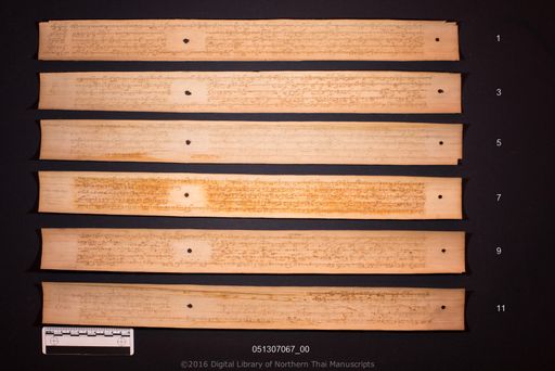 Campa si ton (จำปาสี่ต้น)