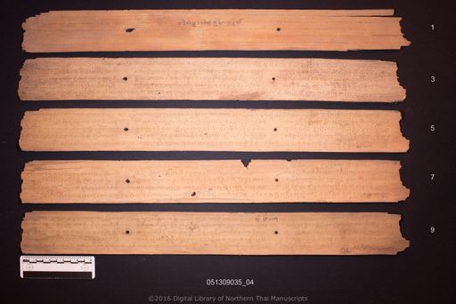 Untitled (ไม่ปรากฏ)