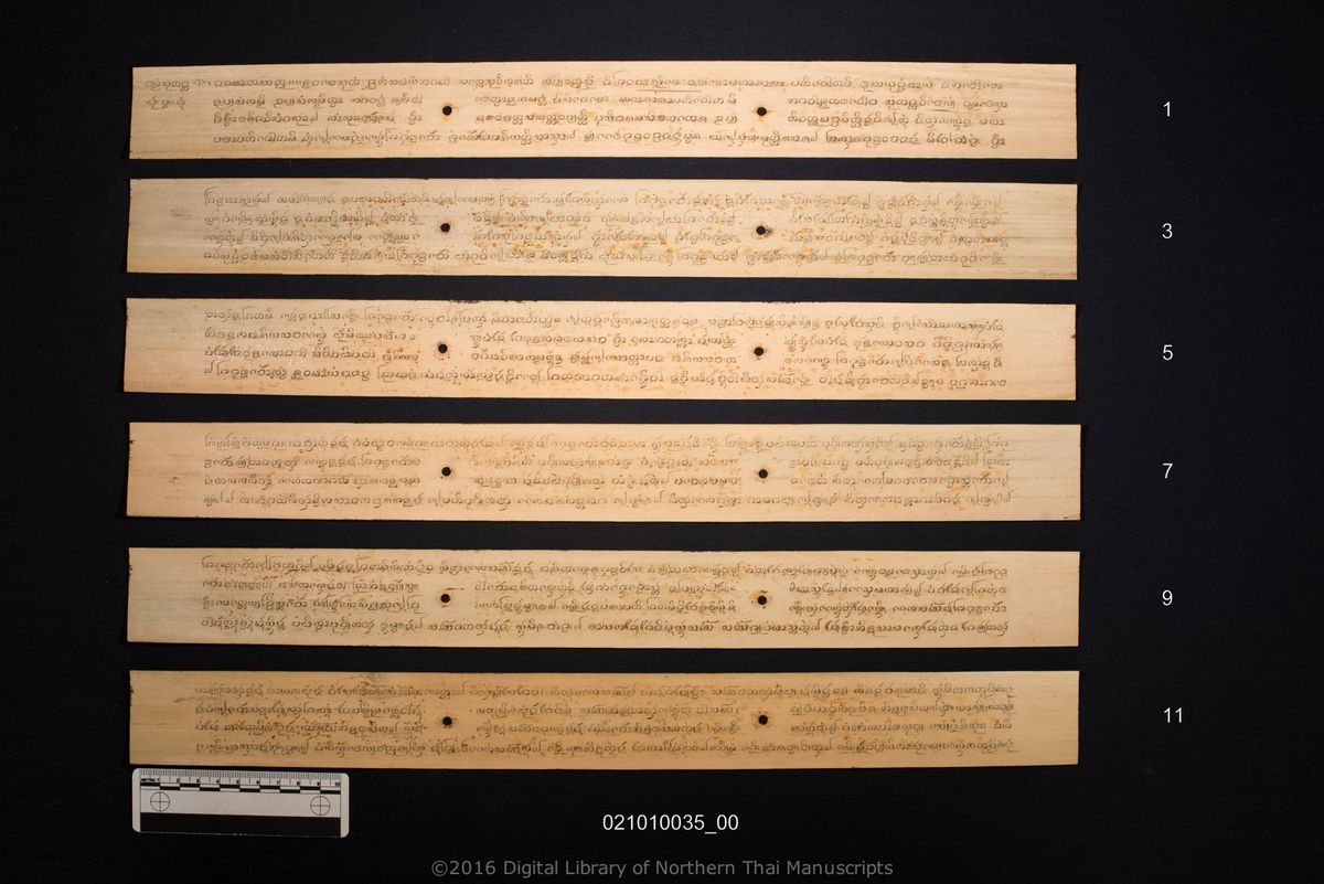 a page of Sutanta, Winanya, Aphithamma, Anisong pitaka, a palm-leaf Buddhist Canonical (พระไตรปิฎก) manuscript in Tham Lanna script, held at Wat Ban Pang, Lamphun; dated 2462 (Buddhist Era (BE))
