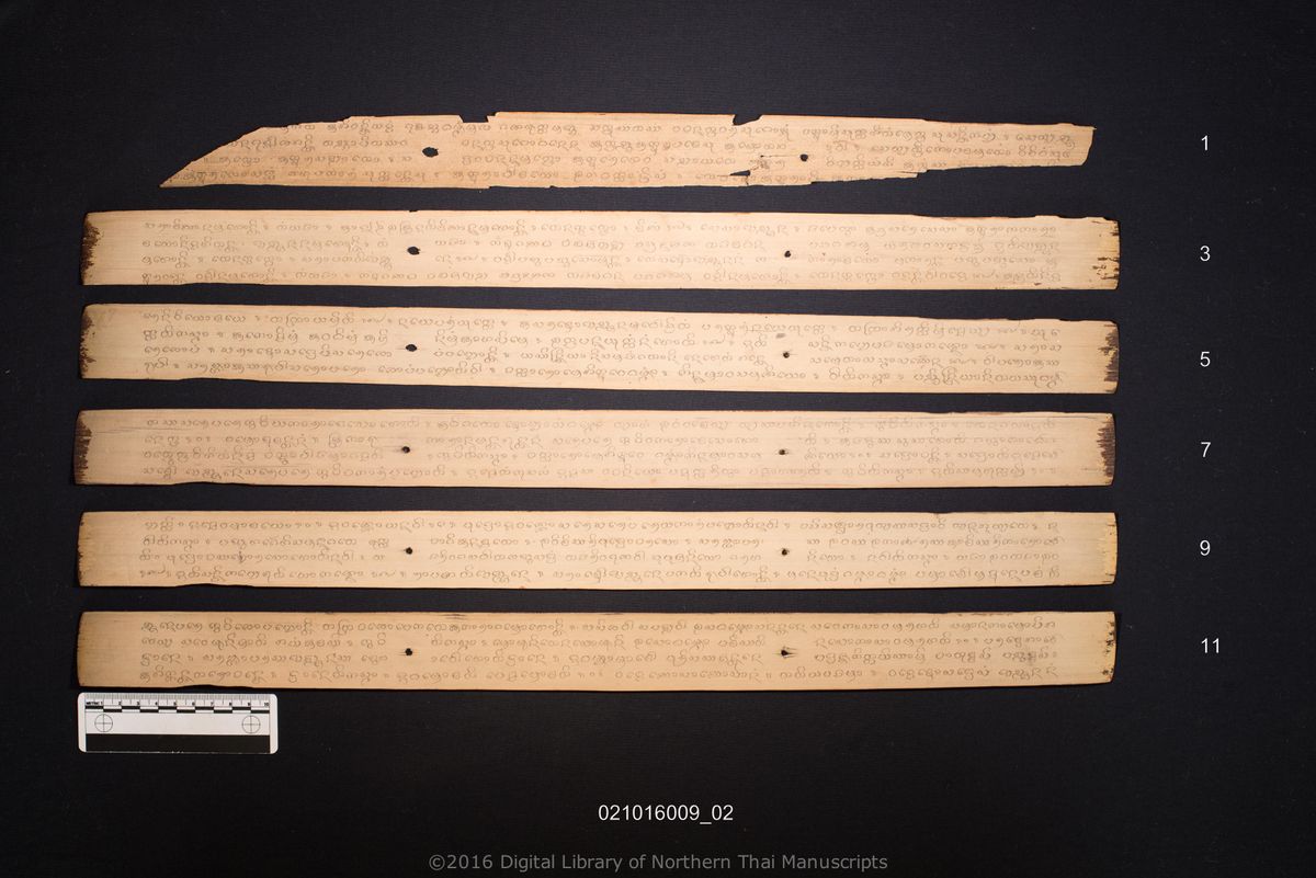 a page of Untitled, a palm-leaf Buddhist Canonical (พระไตรปิฎก) manuscript in Tham Lanna script, held at Wat Ban Pang, Lamphun