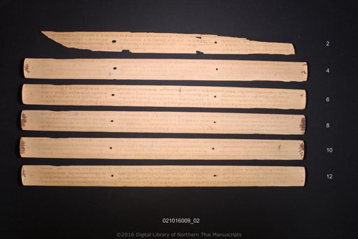 Untitled (ไม่ปรากฏ)