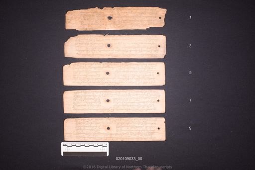 Untitled (ไม่ปรากฏ)