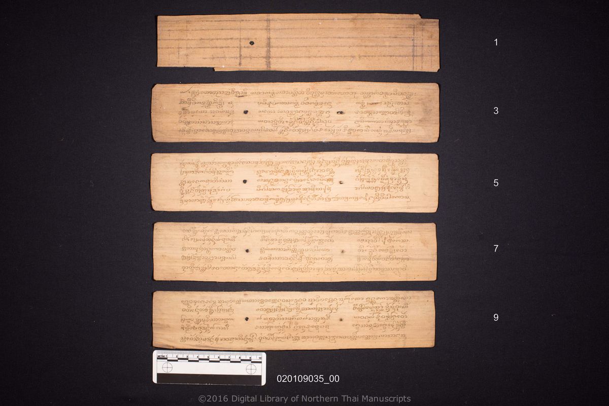 a page of Untitled, a palm-leaf manuscript in Tham Lanna script, held at Wat Phra That Hariphunchai Woramahawihan, Lamphun