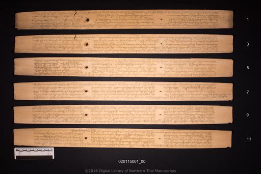 Untitled (ไม่ปรากฏ)