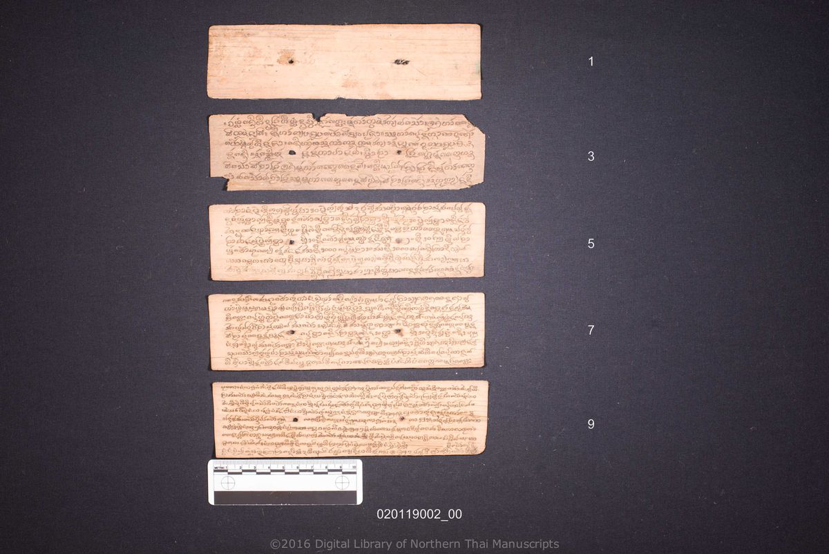 a page of Untitled, a palm-leaf manuscript in Tham Lanna script, held at Wat Phra That Hariphunchai Woramahawihan, Lamphun