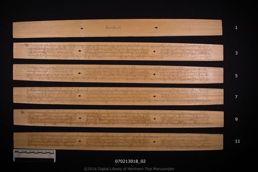 Tamnan co lae (ทำนานช่อแร)