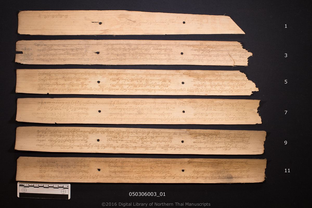 a page of no title (6114), a palm-leaf Buddhist Canonical (พระไตรปิฎก) manuscript in Tham Lanna script, held at Wat Tun Tai, Phayao; dated 1272 (Cunlasakkalat (CS))