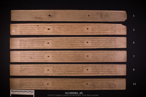 Pae sut (แปสูด)