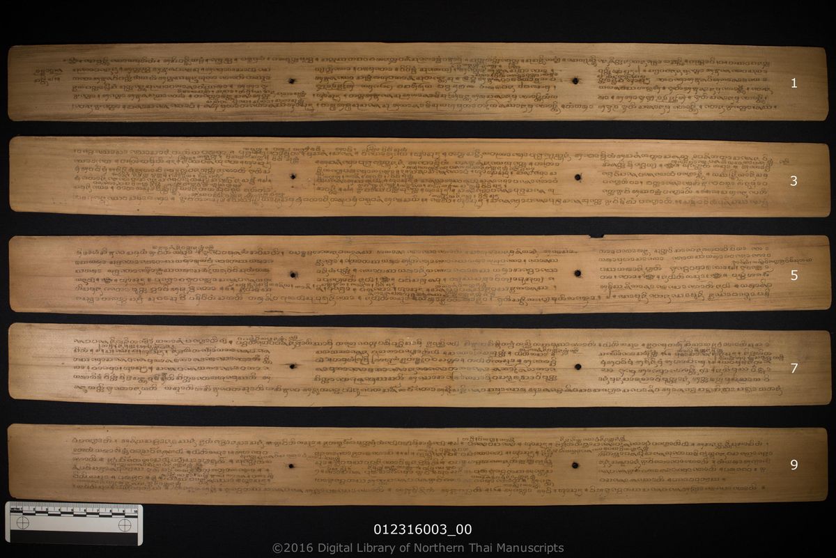 a page of Uttahon sonthi, Uttahon kit, Uttahon kalaka, Uttahon unnat, Uttahon samat, Uttahon nam, Uttahon akhanyat, a palm-leaf Grammar & Lexicography (ไวยากรณ์) manuscript in Tham Lanna script, held at Wat Tha Pong, Chiang Mai; dated 1258 (Cunlasakkalat (CS))
