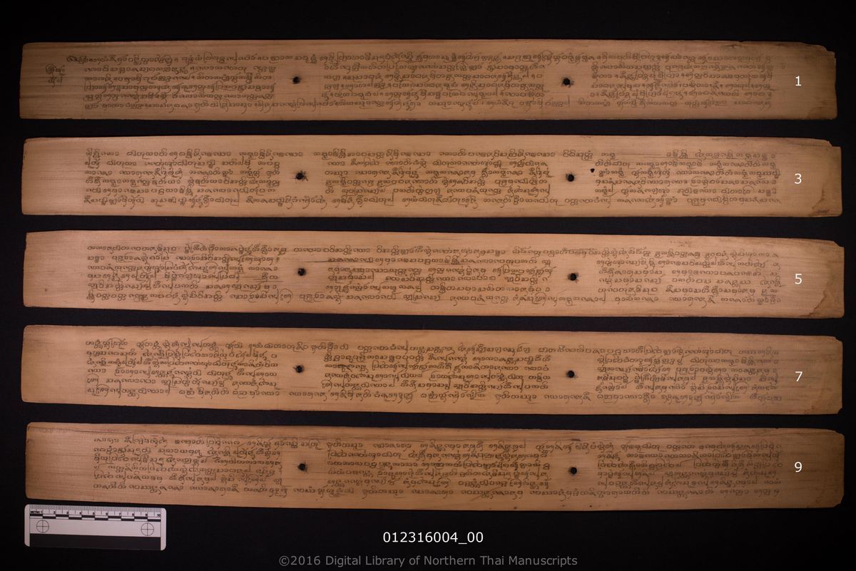a page of Kit, a palm-leaf Grammar & Lexicography (ไวยากรณ์) manuscript in Tham Lanna script, held at Wat Tha Pong, Chiang Mai; dated 1258 (Cunlasakkalat (CS))