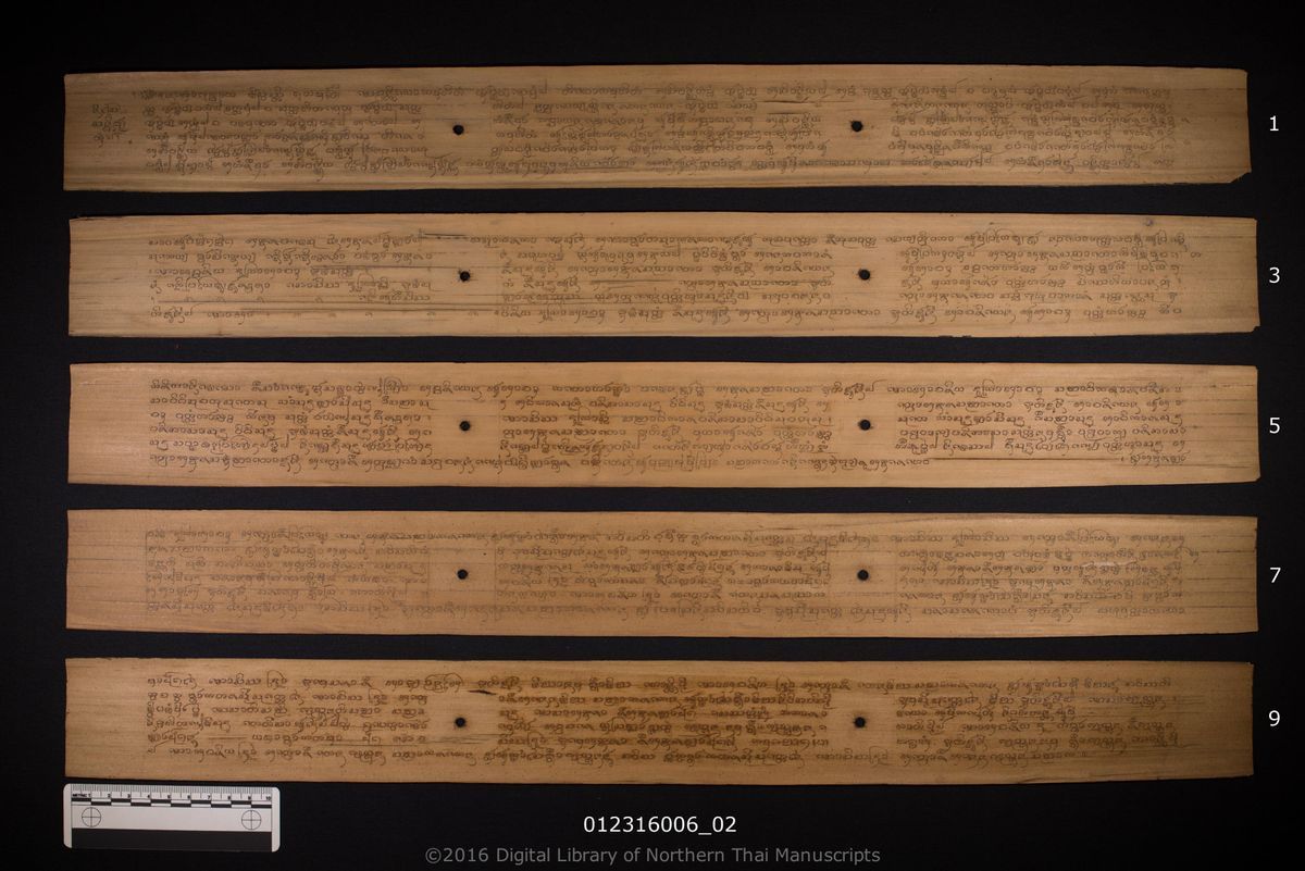 a page of Nisai sonthi, a palm-leaf Grammar & Lexicography (ไวยากรณ์) manuscript in Tham Lanna script, held at Wat Tha Pong, Chiang Mai; dated 1278 (Cunlasakkalat (CS))