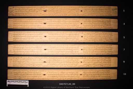 Cang sam nga pa sam ngiang (ช้างสามงาปลาสามเงี่ยง)