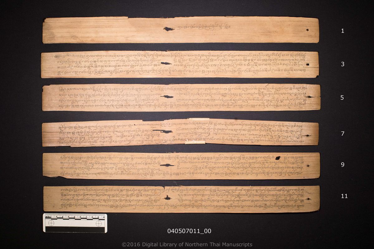 a page of Bua lom bua liao, a palm-leaf Jātaka (ชาดก) manuscript in Tham Lanna script, held at Wat Pa Bong, Chiang Rai