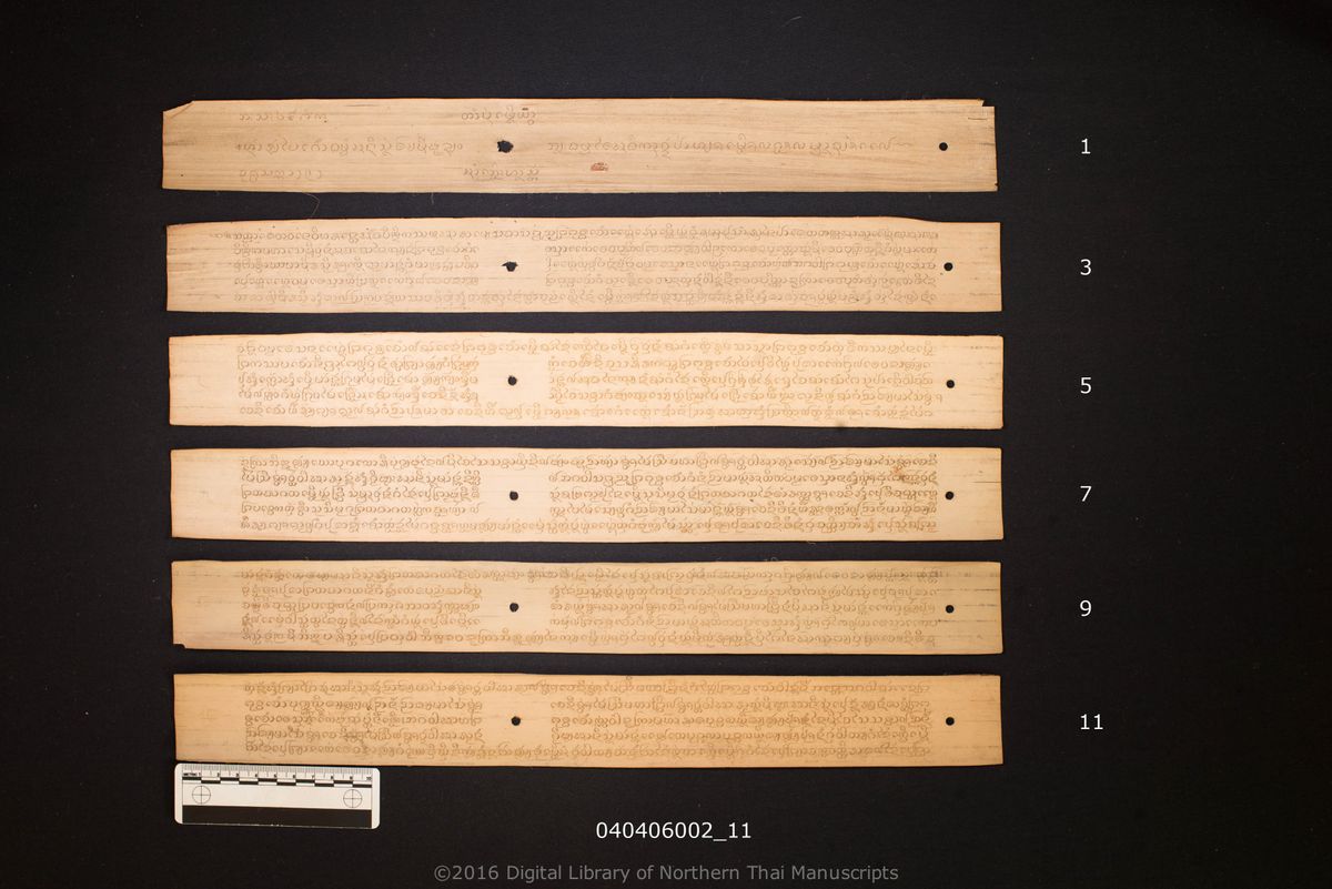 a page of Anisong cai, a palm-leaf Buddhist Canonical (พระไตรปิฎก) manuscript in Tham Lanna script, held at Wat Phothanaram, Chiang Rai; dated 1292 (Cunlasakkalat (CS))