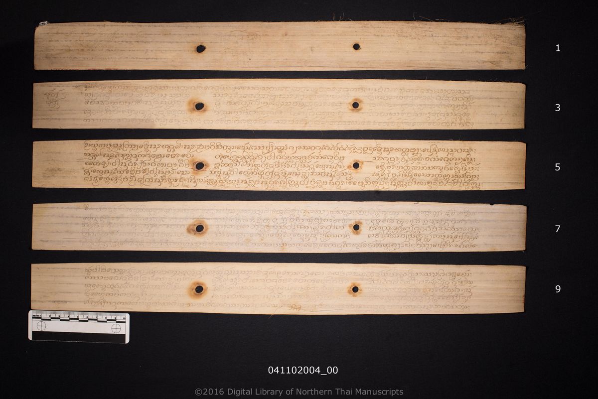 a page of Wohan thammapata, a palm-leaf Buddhist Canonical (พระไตรปิฎก) manuscript in Tham Lanna script, held at Wat Si Sutthawat, Chiang Rai