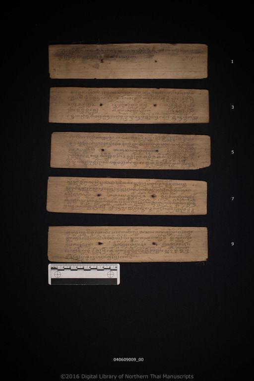 Untitled (ไม่ปรากฏ)