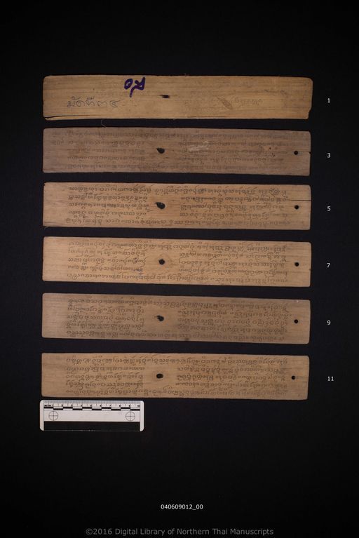 Pon luang (พอรหลวง)