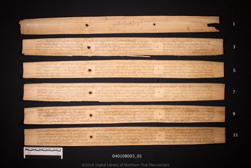 kadi tham lokawinai (คดีทัม โลกวิไน)