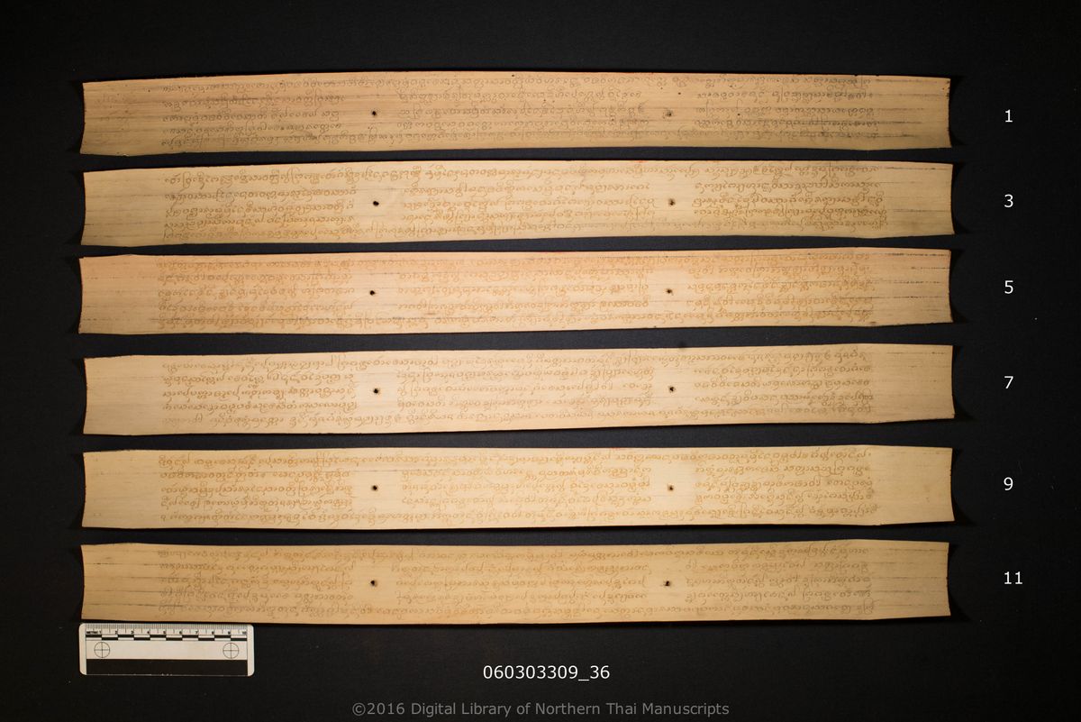 a page of no title (6492), a palm-leaf Buddhist Canonical (พระไตรปิฎก) manuscript in Tham Lanna script, dated 1218 (Cunlasakkalat (CS))