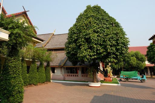 Wat Yuan (Chiang Kham District)