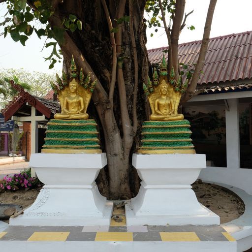 Wat Yuan (Chiang Kham District) : Buddha Image