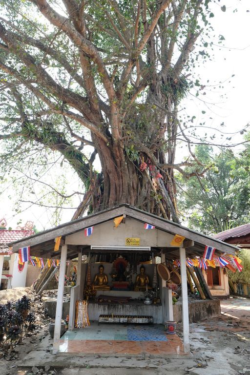 Wat Ban Laeo (Mae Can District)