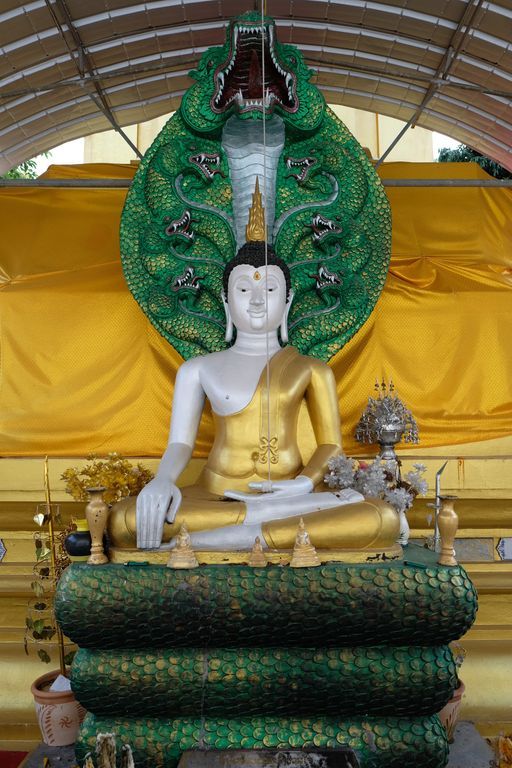 Wat Dong Mada (Mae Lao District) : Buddha Image