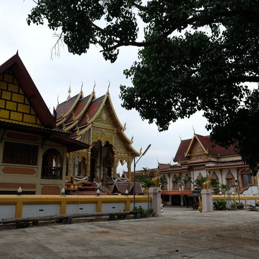 Wat Pa Muang (Wiang Pa Pao District)