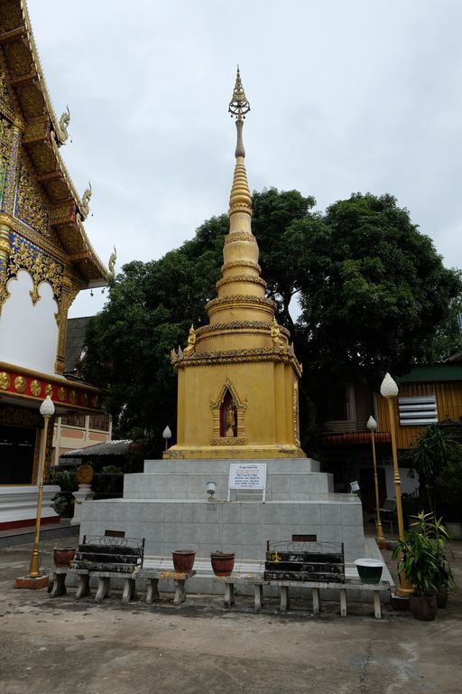 Wat Pa Muang (Wiang Pa Pao District) : Stupa